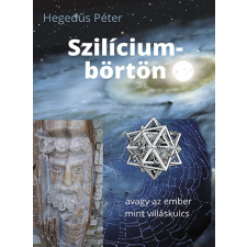 Szilíciumbörtön regény