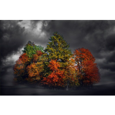  Színes foltos tapéta, 300 x 200 cm tapéta, díszléc és más dekoráció