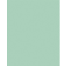  Színes papír, A3, 130 g, 50 lap, FOLIA, menta kreatív papír