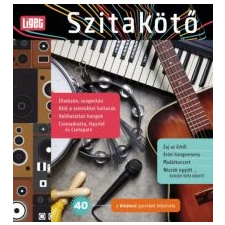 Szitakötő játékfigura
