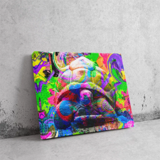  Szivárvány teknős - Pop Art Vászonkép dekoráció