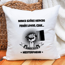  Szobafestő ajándék - Remek festő párna lakástextília