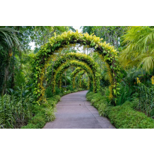  Tapéta Forest62 virágívekkel, 300 x 250 cm tapéta, díszléc és más dekoráció