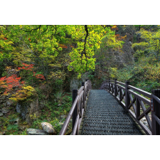  Tapéta Híd a természetbe, 400 x 250 cm tapéta, díszléc és más dekoráció