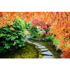  Tapéta Japán kert 2, 300 x 250 cm tapéta, díszléc és más dekoráció