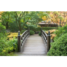  Tapéta Japán kert 4, 300 x 250 cm tapéta, díszléc és más dekoráció