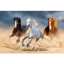  Tapéta Lovak, galopp, homok2, 300 x 200 cm tapéta, díszléc és más dekoráció