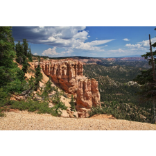  Tapéta Natura120, 300 x 200 cm tapéta, díszléc és más dekoráció