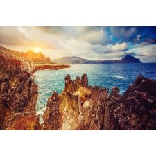  Tapéta Natura127, 300 x 250 cm tapéta, díszléc és más dekoráció