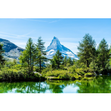  Tapéta Natura146, 350 x 200 cm tapéta, díszléc és más dekoráció