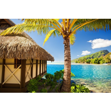  Tapéta nyaraló, 300 x 250 cm tapéta, díszléc és más dekoráció