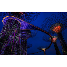  Tapéta Park Singapore 1, 400 x 250 cm tapéta, díszléc és más dekoráció