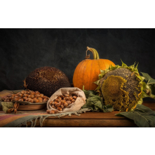  Tapéta Rusztikus elrendezés, 300 x 200 cm tapéta, díszléc és más dekoráció