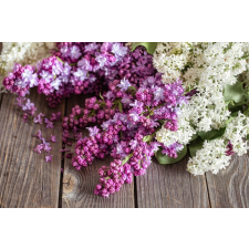  Tapéta Virágok150 Lila lila-fehér, 350 x 200 cm tapéta, díszléc és más dekoráció