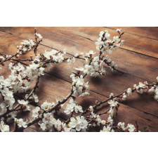  Tapéta Virágok90, 300 x 250 cm tapéta, díszléc és más dekoráció