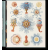 Taschen GmbH The Art and Science of Ernst Haeckel | Rainer Willmann