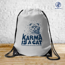  Taylor Swift - Karma is a Cat tornazsák ajándéktárgy