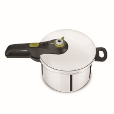 Tefal P2530738 kuktafazék 6 L Fekete, Rozsdamentes acél (P2530738) edény