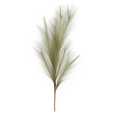  Természetes hatású mű pampafű ág lágy zöldes-bézs árnyalatban dekoráció