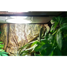  Terrárium fűtőszőnyeg - M 55*55 cm hüllőfelszerelés