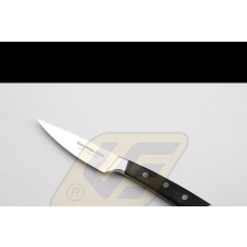  Tescoma 139874 Azza háztartási kés 9cm kés és bárd