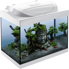 Tetra Starter Line 30 Led komplett felszerelt akvárium 30liter fehér 41x30x25cm (319691) akvárium