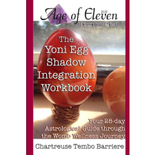 The Yoni Egg Shadow Integration Workbook idegen nyelvű könyv