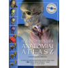 Thomas O. McCracken Háromdimenziós anatómiai atlasz