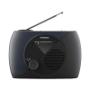 Thomson RT350