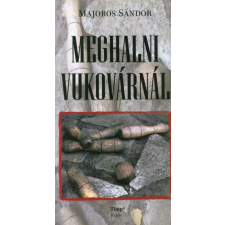 Timp Kiadó Meghalni Vukovárnál (A) regény