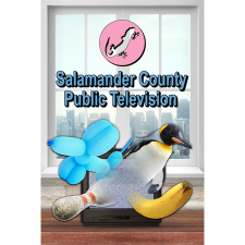 Tinzone Games Salamander County Public Television (PC - Steam elektronikus játék licensz) videójáték