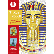 Titkos kódok - Színezz számokkal gyermek- és ifjúsági könyv