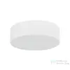 TK Lighting Livo kültéri mennyezeti lámpa TK-10985