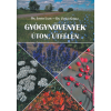TKK Kereskedelmi Kft. Gyógynövények úton, útfélen