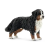 TMTOYS : Schleich Berni pásztor nőstény - Egyéb