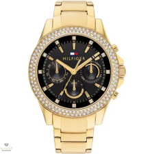 Tommy Hilfiger Haven női óra - TH1782676 karóra