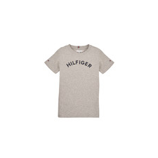 Tommy Hilfiger Rövid ujjú pólók U HILFIGER ARCHED TEE Szürke 5 éves gyerek póló