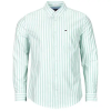Tommy Jeans Hosszú ujjú ingek TJM REG STRIPE OXFORD SHIRT EXT Zöld EU L