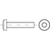 Toolcraft TO-5440692 csavar M2 10 mm E TORX ISO 14583 galvanikusan cinkezett acél 2000 db (TO-5440692)