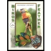 Topps 2021-23 Topps Allen and Ginter Birds of a Feather #BOF-10 Rainbow Lorikeet