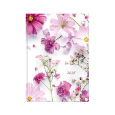 TOPTIMER Naptár, tervező, B5, heti, TOPTIMER, &quot;Joy&quot;, pillangóvirág határidőnapló