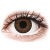 TopVue Color - Brown - dioptria nélkül napi lencsék (10 db lencse)