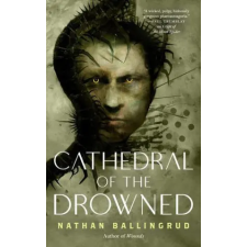 TOR NIGHTFIRE CATHEDRAL OF THE DROWNED | BALLINGRUD NATHAN egyéb könyv