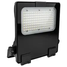  Tracon RHISNS100W LED fényvető, szimmetrikus kültéri világítás