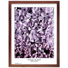 Tradag Natura 40×50, barna fényképkeret