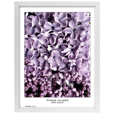 Tradag Natura 40×50, fehér fényképkeret