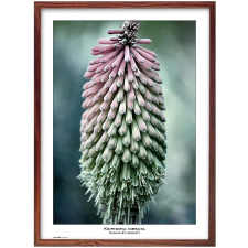 Tradag Natura 50×70, barna fényképkeret