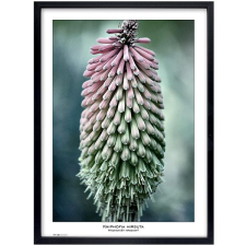 Tradag Natura 50×70, fekete fényképkeret