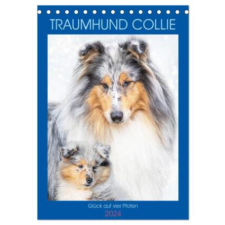  Traumhund Collie - Glück auf vier Pfoten (Tischkalender 2024 DIN A5 hoch), CALVENDO Monatskalender – Sigrid Starick naptár, kalendárium