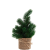TREE OF THE MONTH mini fenyő LED világítással
